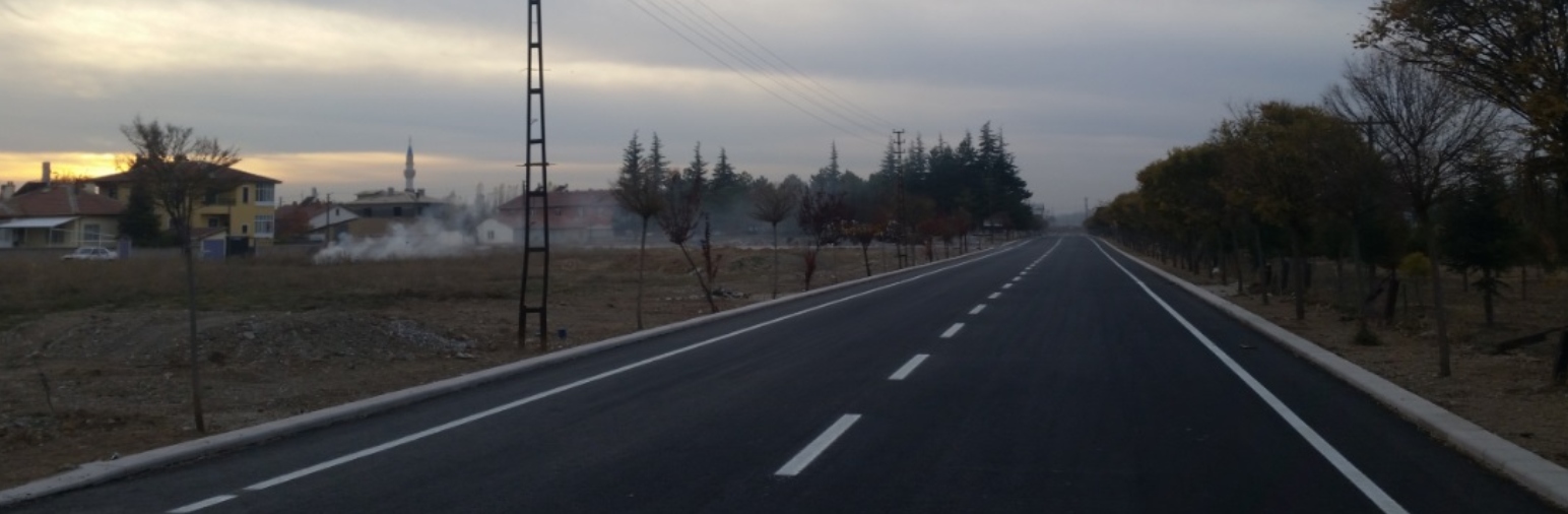 SARAYONU DISTRICT MAIN AVENUE ARRANGEMENT