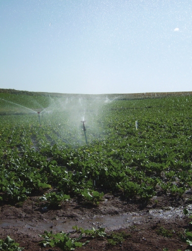 YOZGAT GELİNGÜLLÜ PROJECT PUMPING IRRIGATION PROJECT