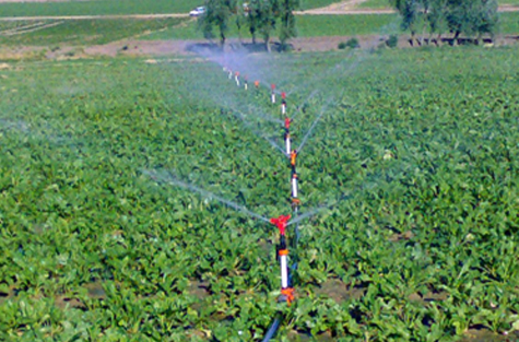 SIVAS-YILDIZELI YILDIZ POND IRRIGATION PROJECT
