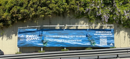 Run For The Ocean