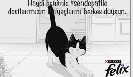 Felix Sen de Patile