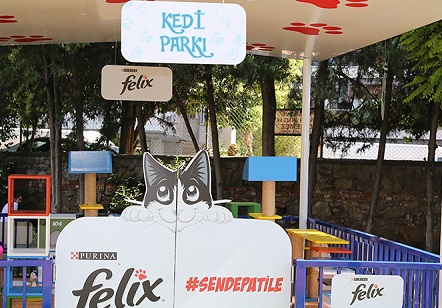 Sende Patile