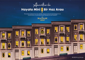 Mini Haz Arası