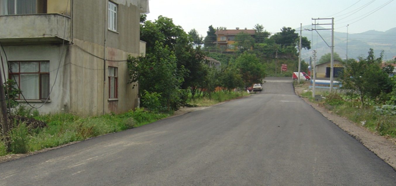 BEKIRPAŞA (KOCAELI) DISASTER-VICTIM