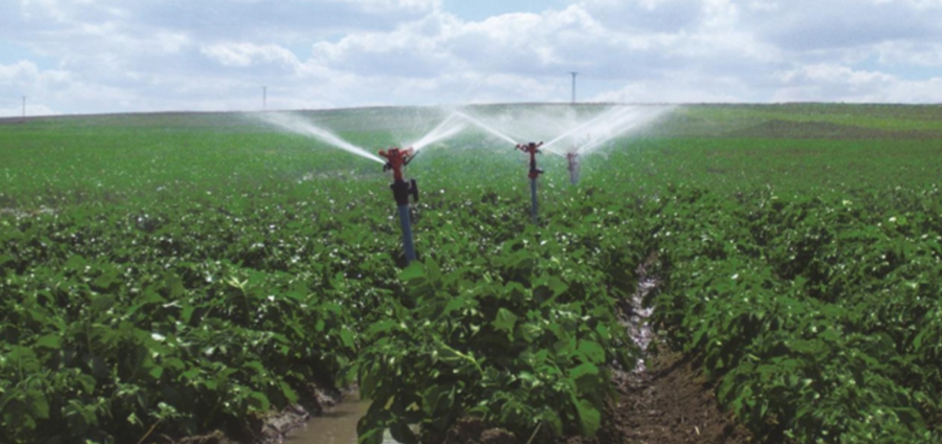 YOZGAT GELİNGÜLLÜ PROJECT
